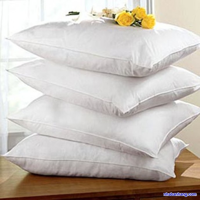 RUỘT GỐI ÉP HƠI CAO CẤP SÀI GÒN 40x60cm