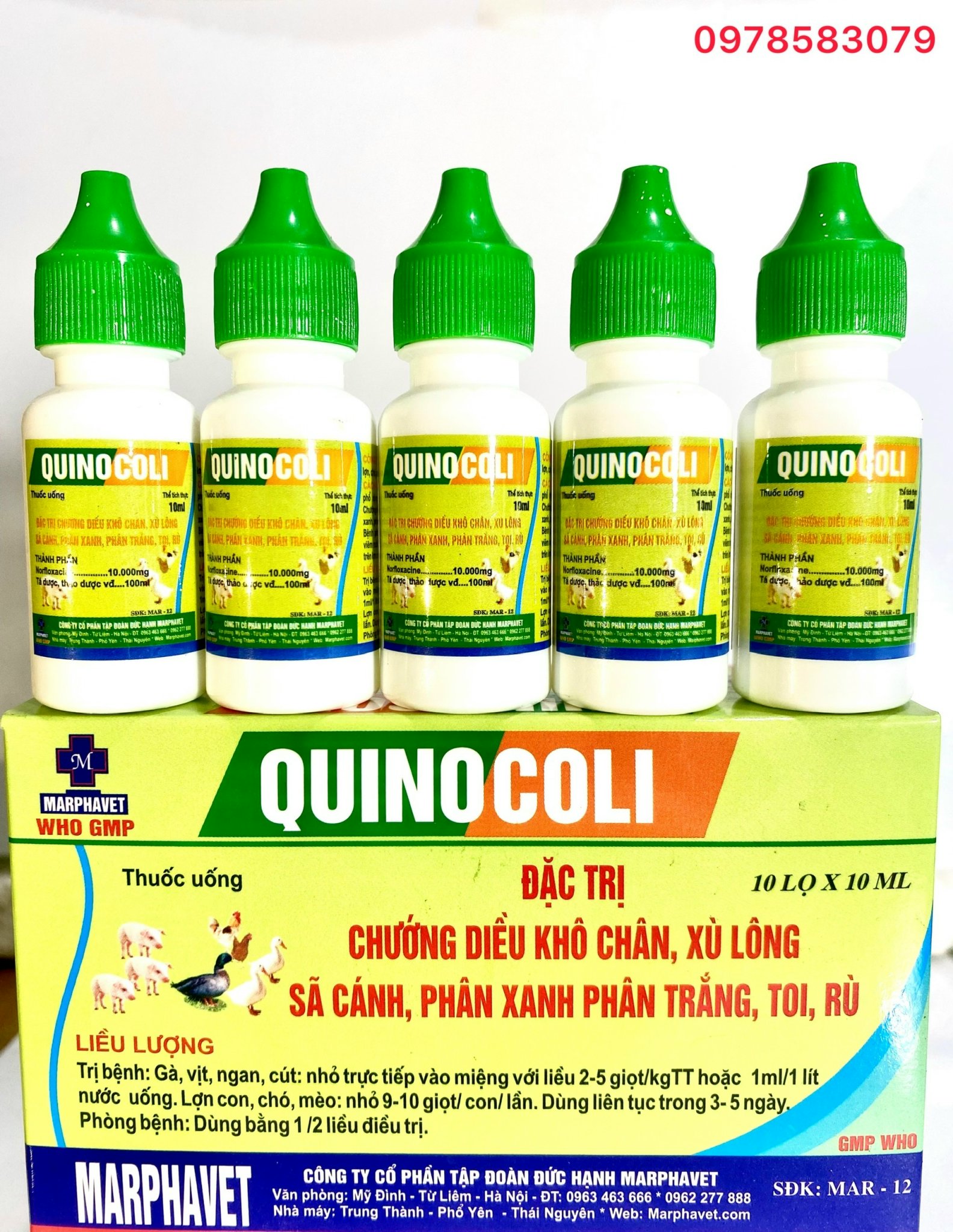 Combo 5 Lọ Quinocoli (10ml)- 5 Lọ Quinocoli (10ml)+ Men 1 Men Neolac (100Gr)  Chướng diều khô chân, xù lông xã cánh, phân xanh phân trắng, toi rù.