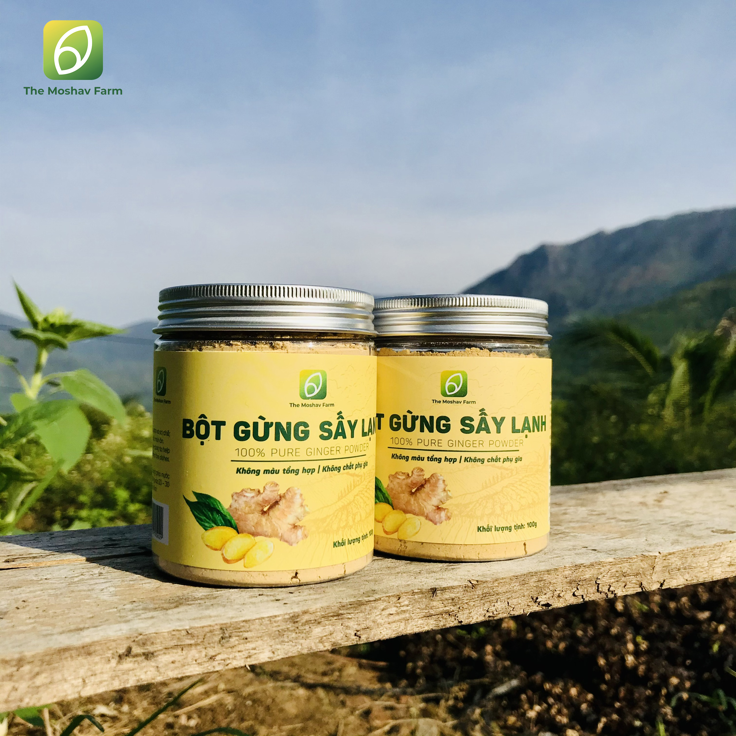 Bột gừng sấy lạnh hũ 100gram