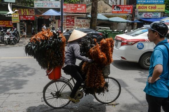 Chổi Lông Gà Loại 1, Lông Đẹp Bóng Mượt