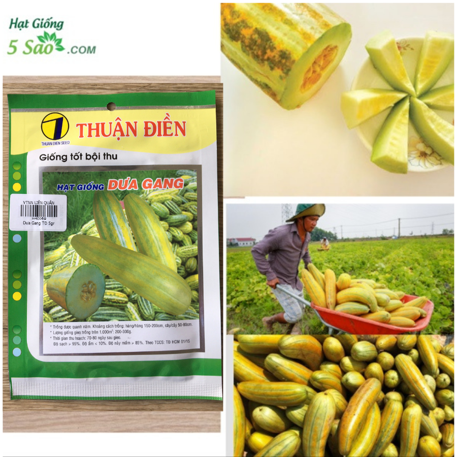 Hạt Giống Dưa Gang Rd 779 Rạng Đông Gói 1Gram