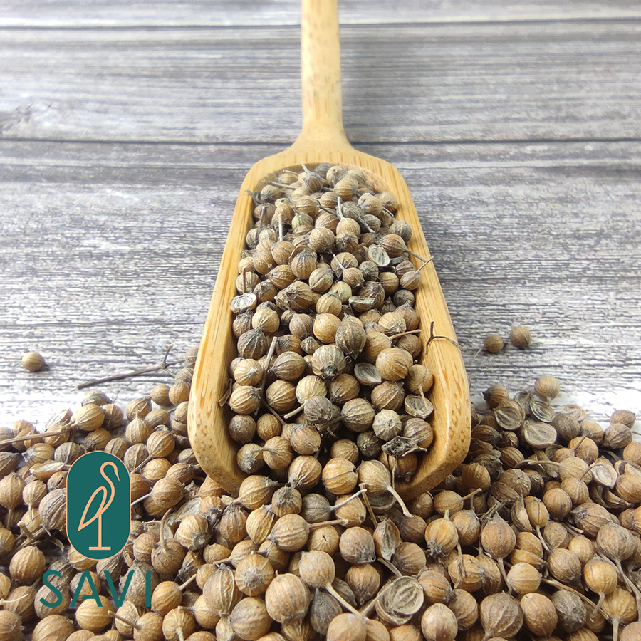 Hạt Ngò / Hạt Mùi Cao Cấp - High Quality Coriander
