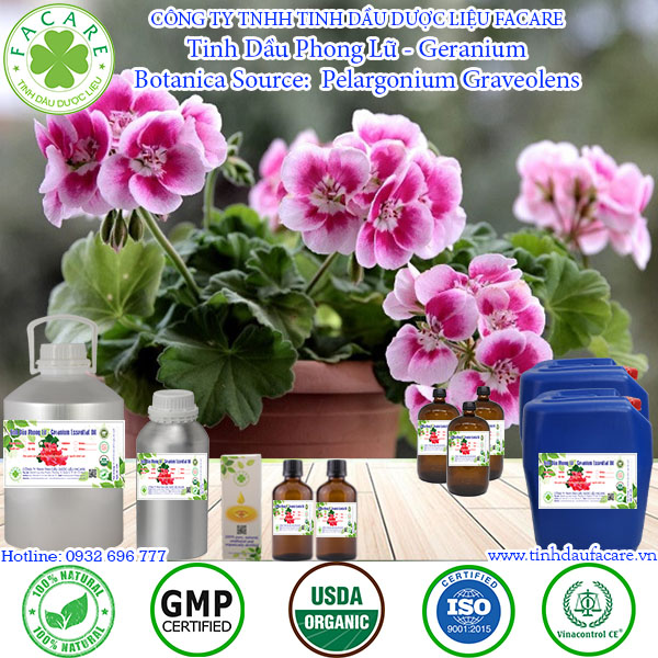 Tinh dầu phong lữ geranium essential oil - 10ml