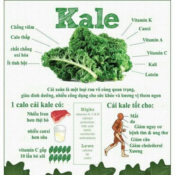 Bột cải xoắn kale hữu cơ 190gr - Raab