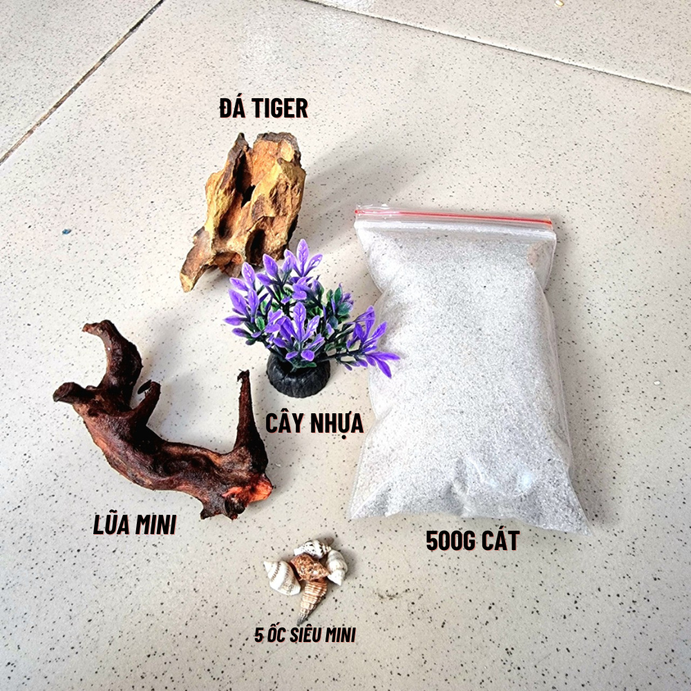 Bộ trang trí bể cá mini đá trang trí cho bể cá mini dưới 15cm