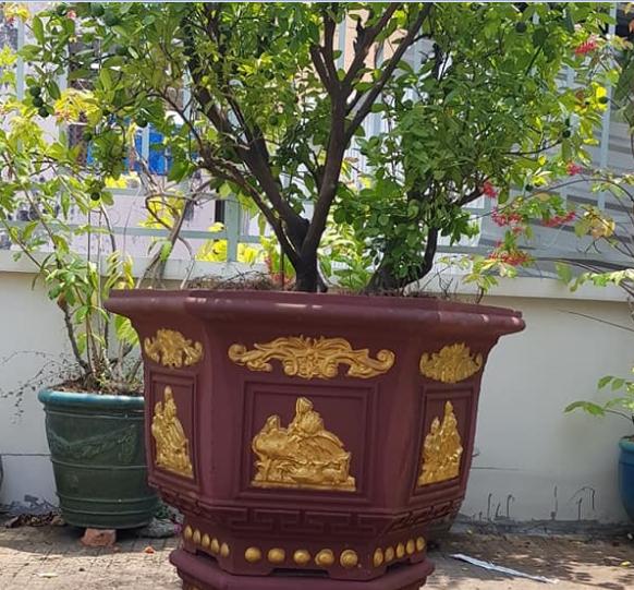 KHUÔN ĐÚC CHẬU LỤC GIÁC 80CM ABS