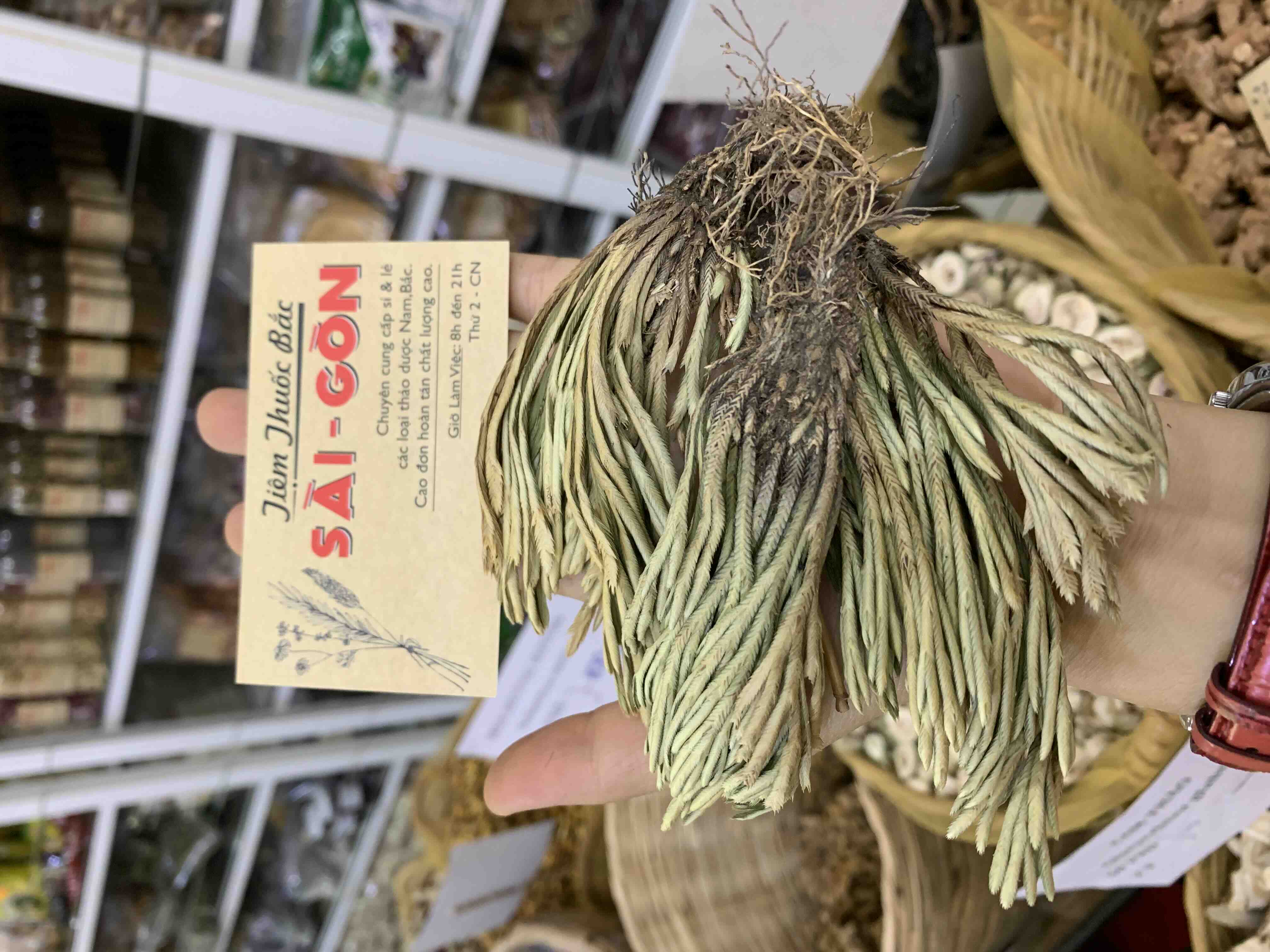 500g khô cây quyển bá-móng lưng rồng-trường sinh