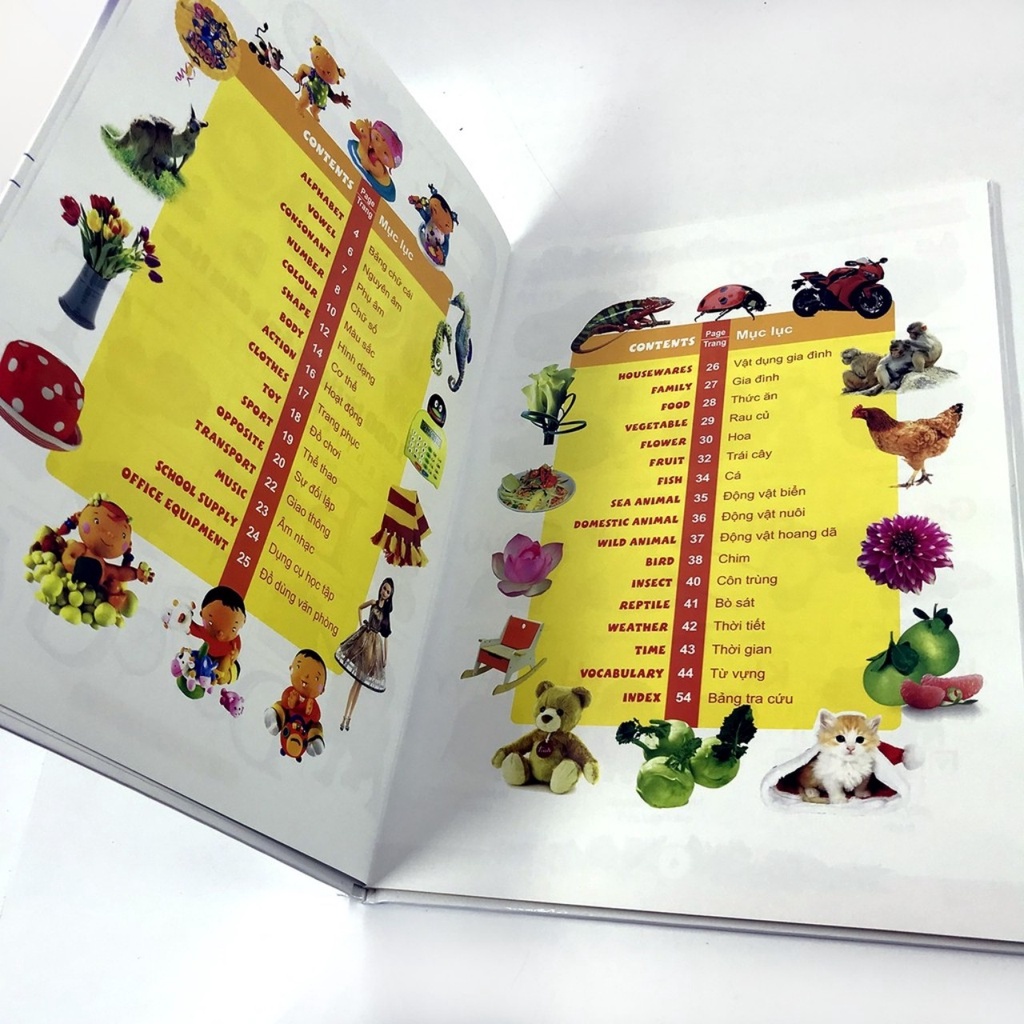 Sách: 1000 Từ Tiếng Anh Đầu Tiên