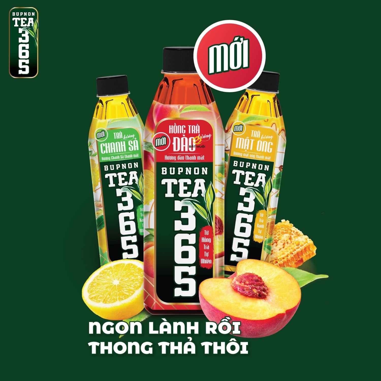 Trà BUPNON TEA365 chai 500ml - CTY BÁT MUỘI
