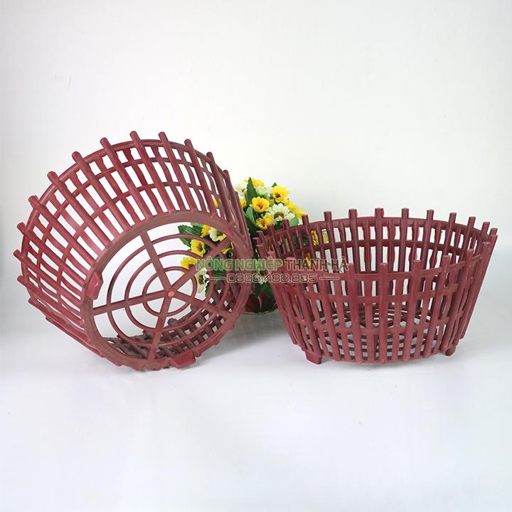 Chậu nhựa giả gỗ trồng lan phi 30 cm