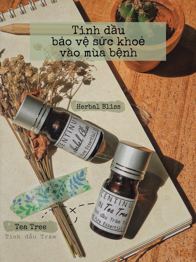 TINH DẦU IN HERBAL BLISS