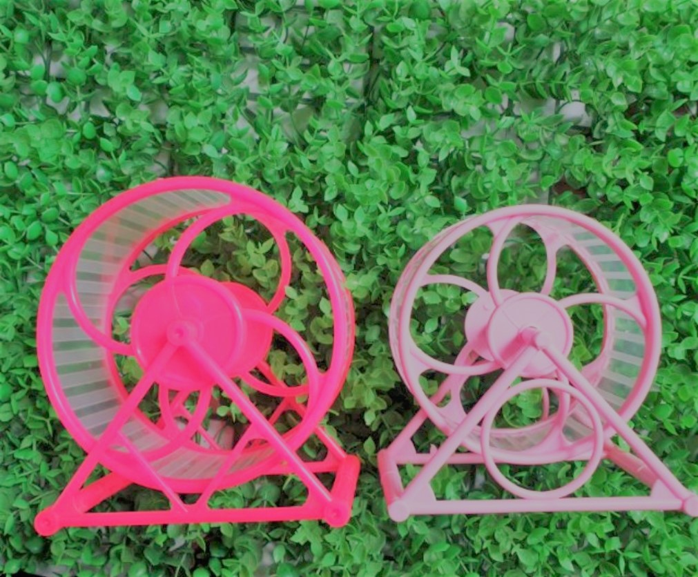 Wheel cho hamster 16cm lớn (loại tốt)