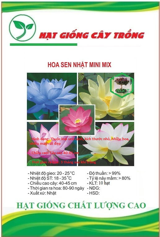 Hạt giống hoa sen mini nhật mix màu CT51 - Gói 10 hạt