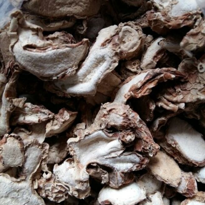Sỉ toàn quốc 500g địa liền khô