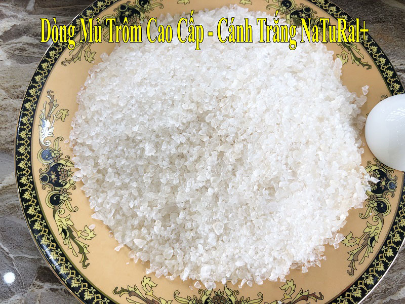 Mủ trôm nguyên chất Phan Rang cỡ hạt 1mm, 3mm