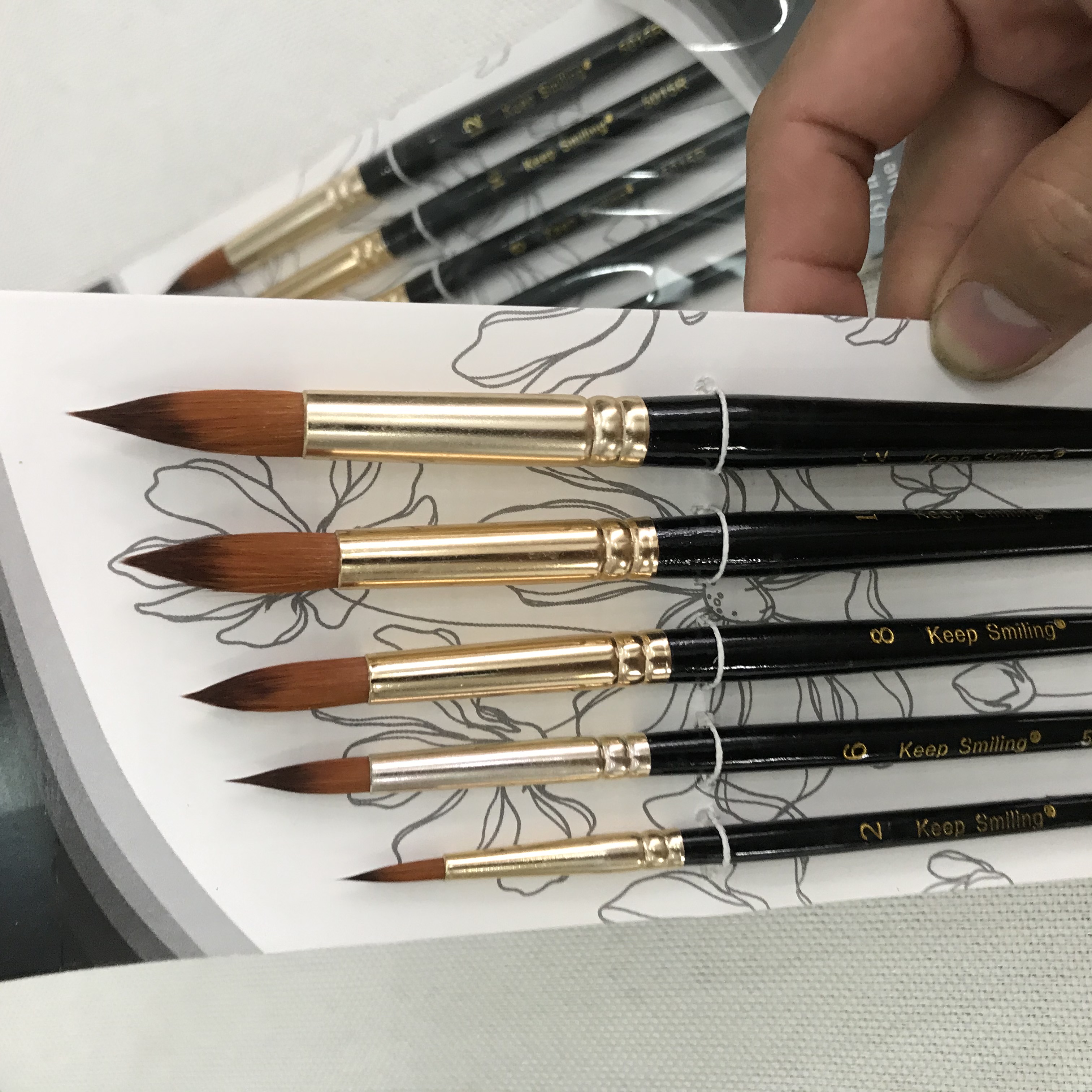 Bộ cọ 5 cây cán đen hàng xuất khẩu - bộ cọ nét tròn 5 cây vẽ sơn dầu sơn acrylic