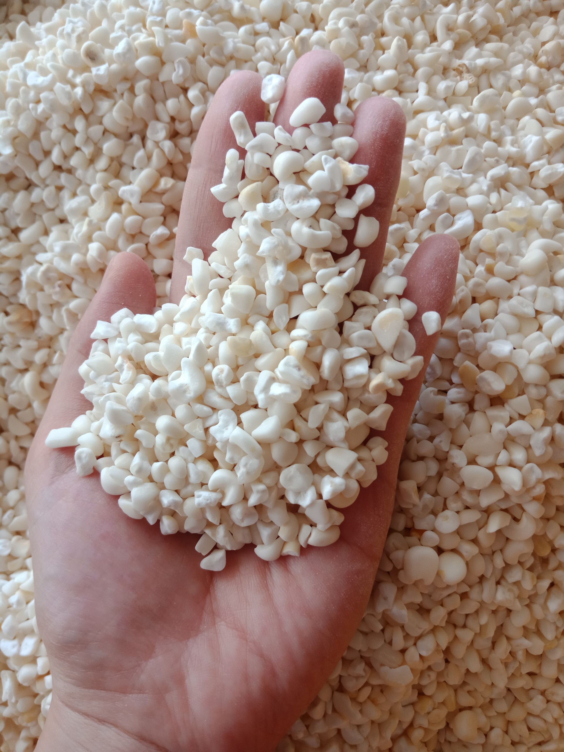 Bắp trắng xay dẻo, thơm(Bắp nếp HƯƠNG) (1kg)