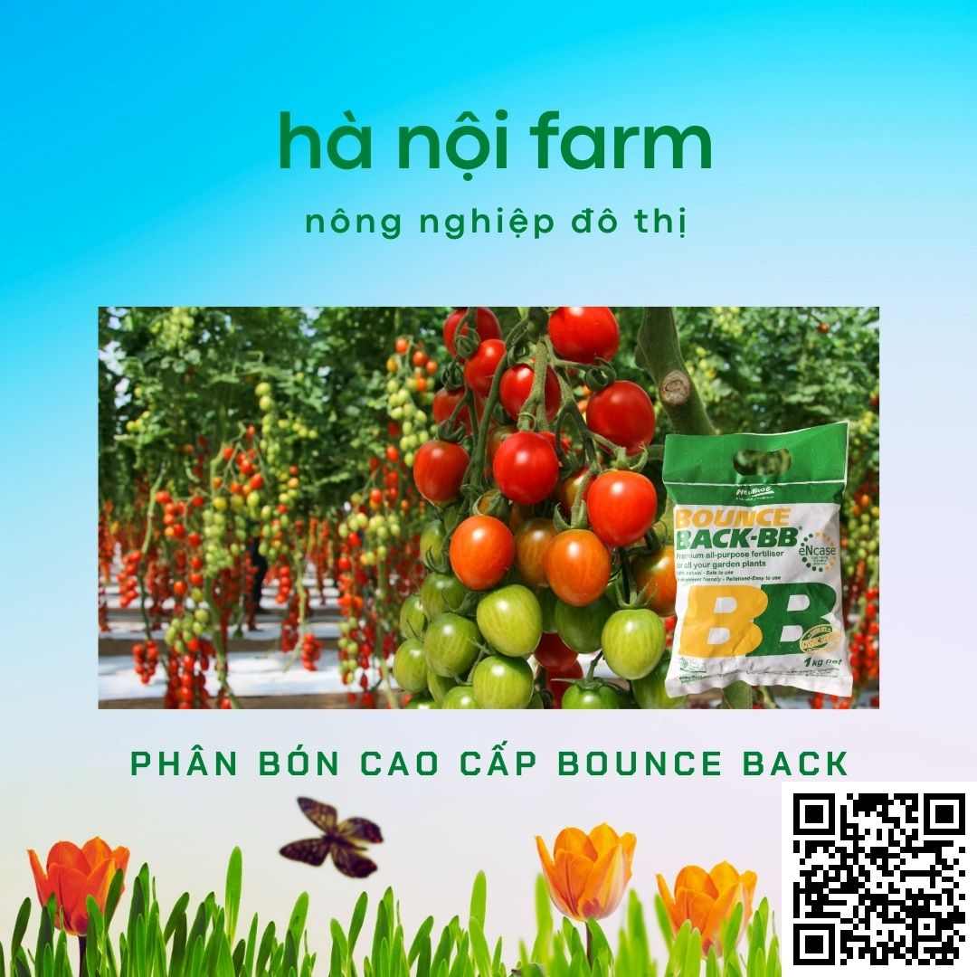 Phân hữu cơ BB, Phân gà úc ( Bounce back ) Australia. Gói 1kg