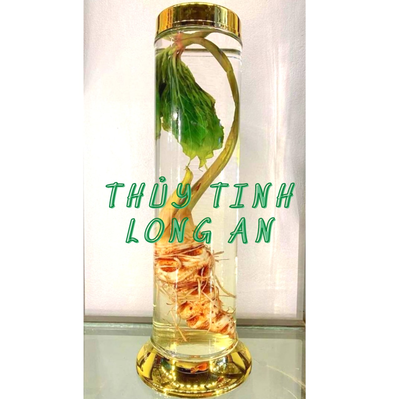 Bình Ngâm rượυ Sâm Thủy Tinh CAO CẤP PHÚ HÒA 3,8 lít