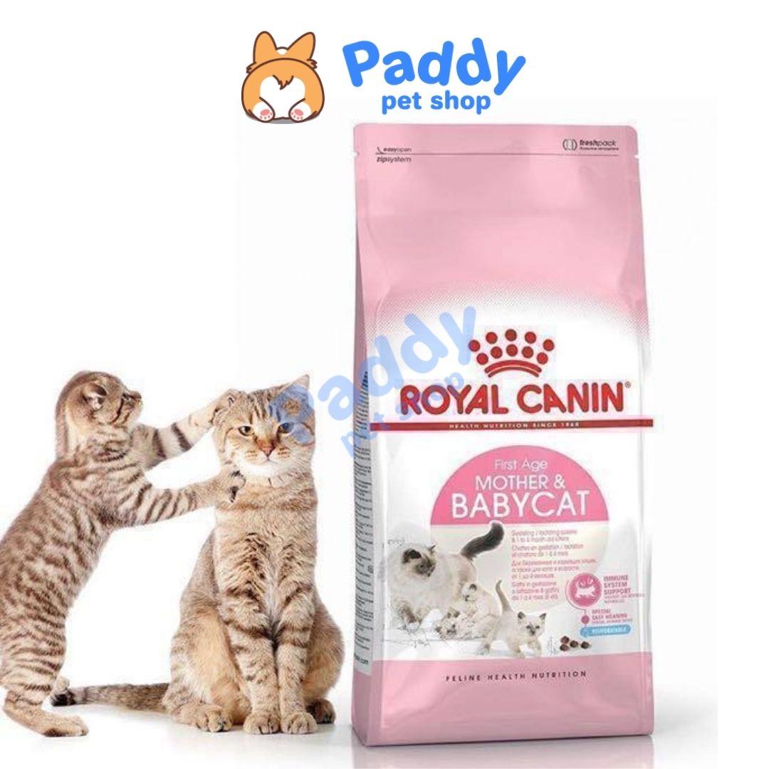 Hạt Cho Mèo Mẹ & Mèo Con Royal Canin Mother & Babycat