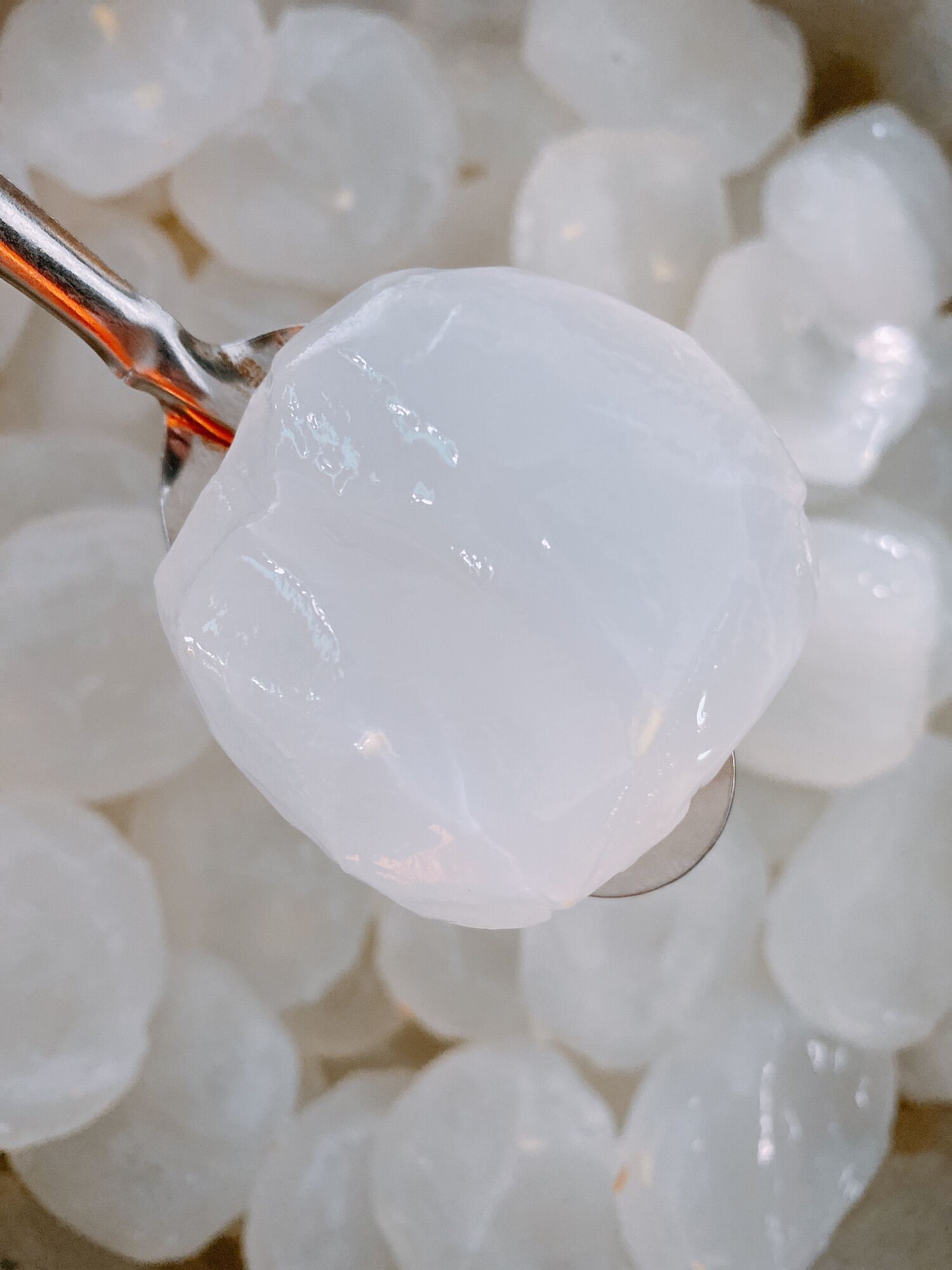 Thốt Nốt rim đường Thốt Nốt (ít nước đường)