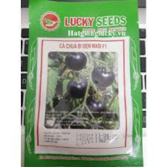 Hạt giống cà chua bi đen lucky gói 10h