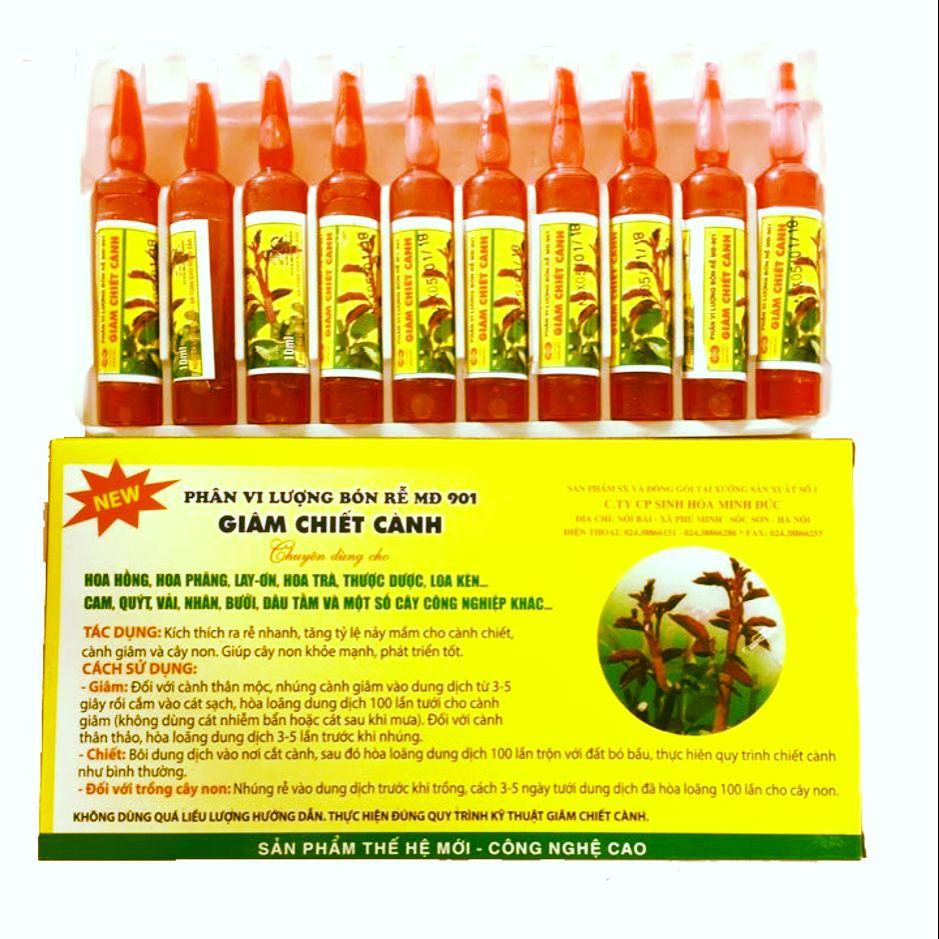 giâm chiết cành 2 ống