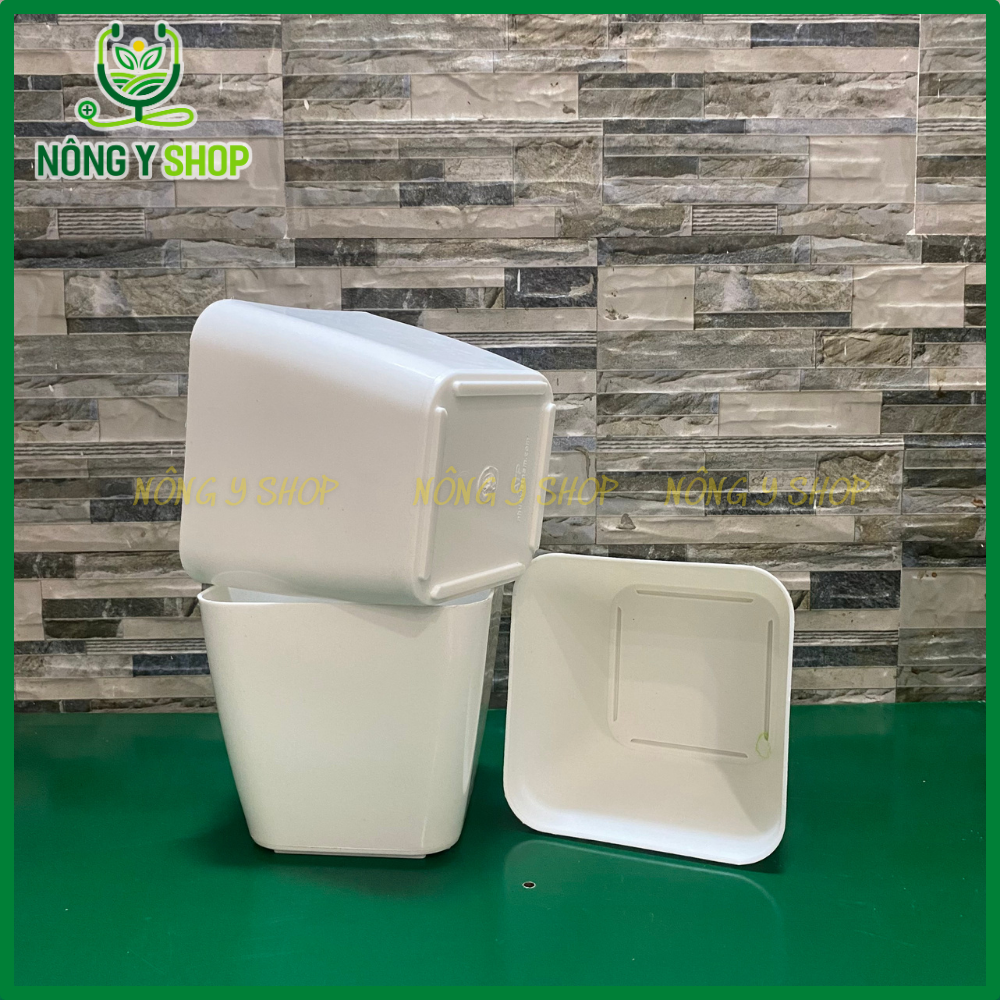 Chậu nhựa vuông thấp 13, chậu vuông thấp, chậu nhựa dày, bóng, chậu hoa, cây kiểng, chậu nhiều màu sắc