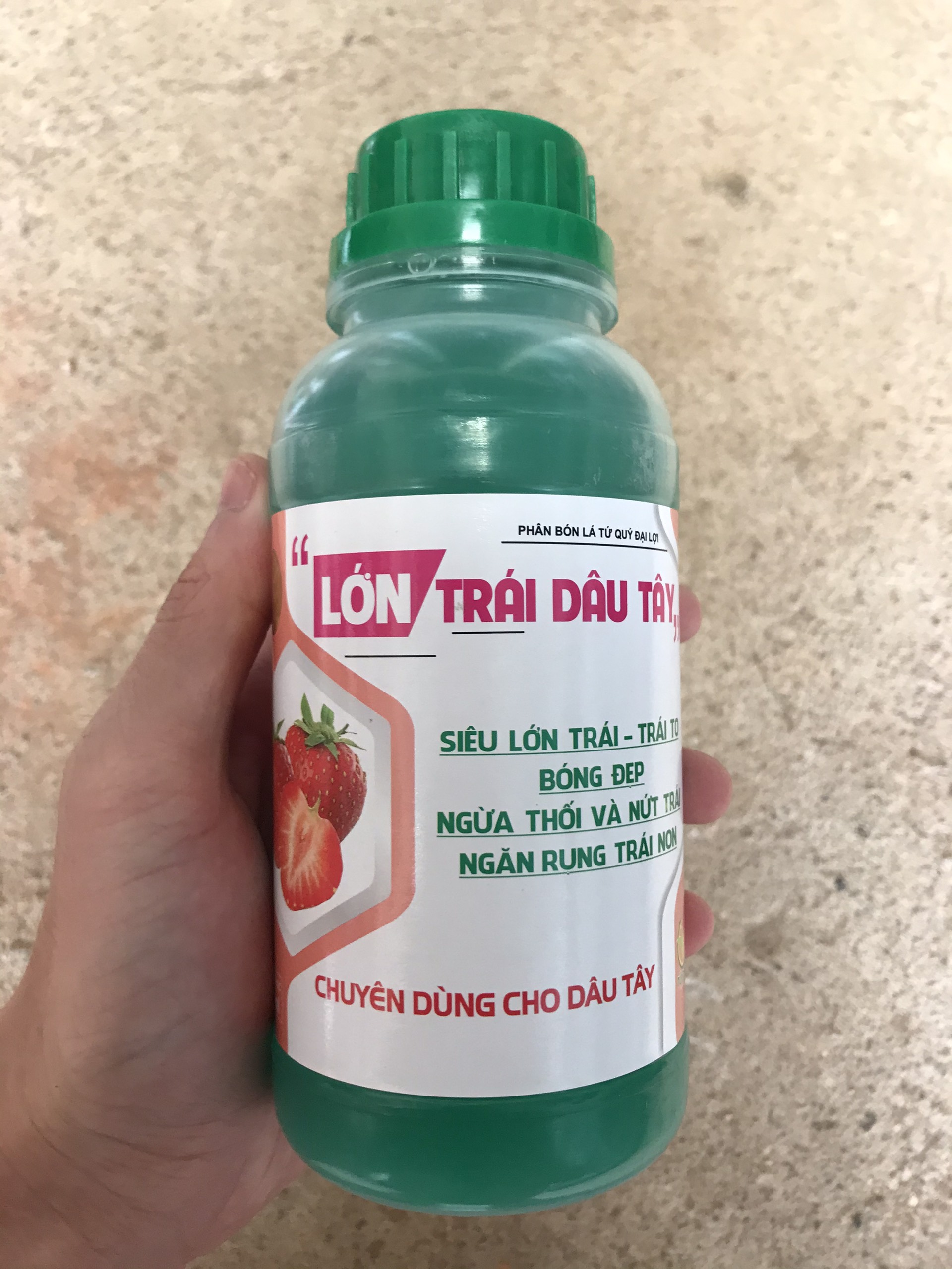 PHÂN BÓN LỚN TRÁI DÂU TÂY 500ML