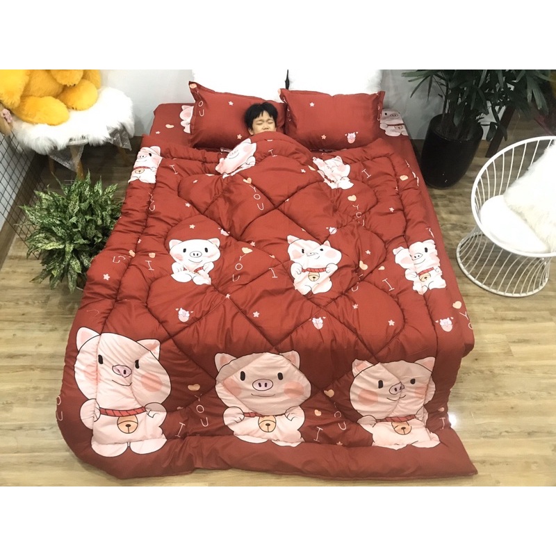 Bộ mền ga gối poly cotton 5 món chăn phao trần bông dày loại 1