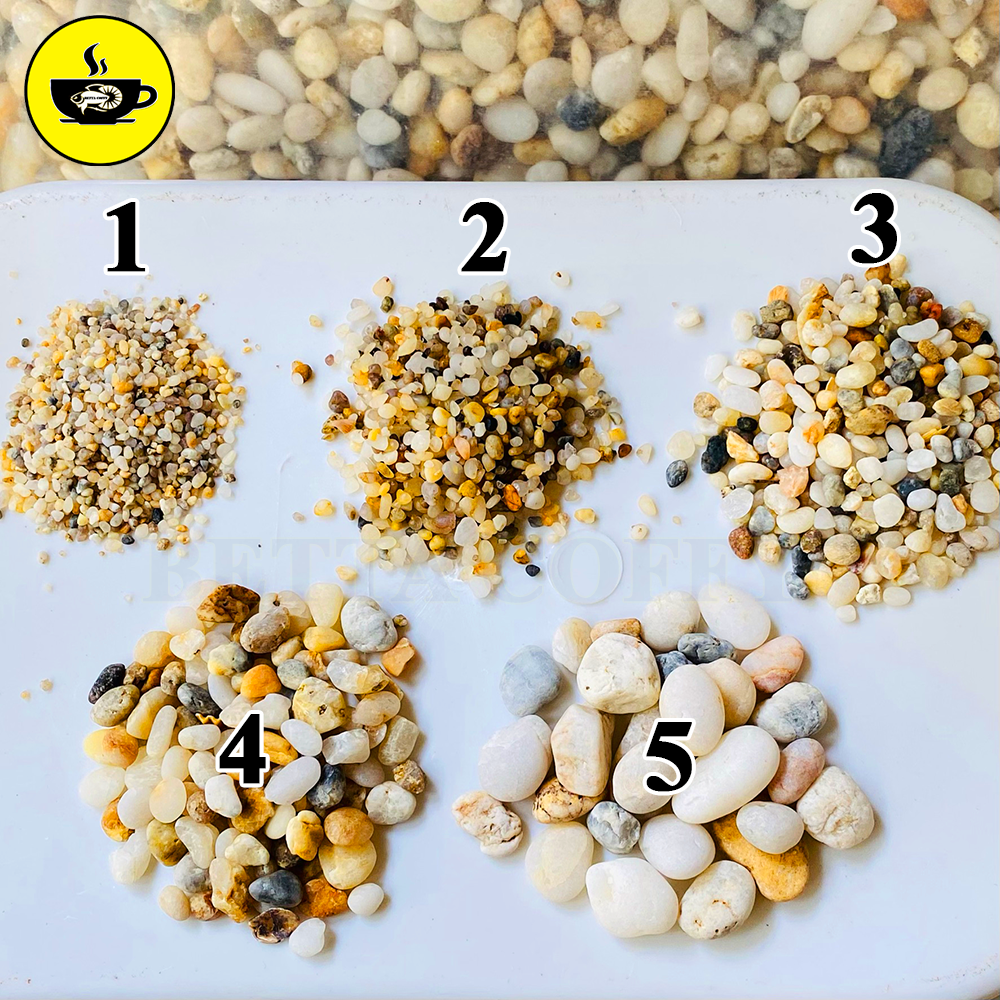 Sỏi biển thiên nhiên - Đá Cuội - San Gốm lọc nước trang trí rãi nền hồ cá