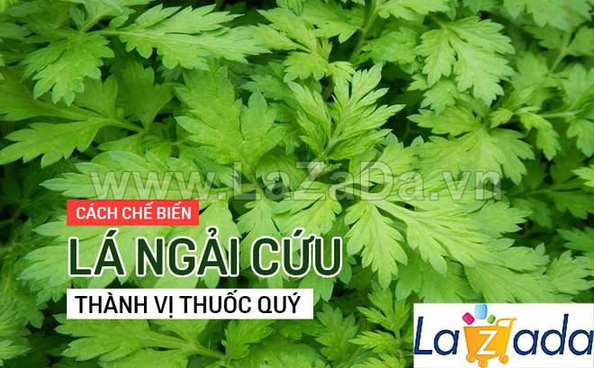 50h Hạt Giống Ngải Cứu Mugwort (| A4*W50*M301)