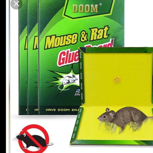 Miếng dính chuột siêu dính. ĐTVM