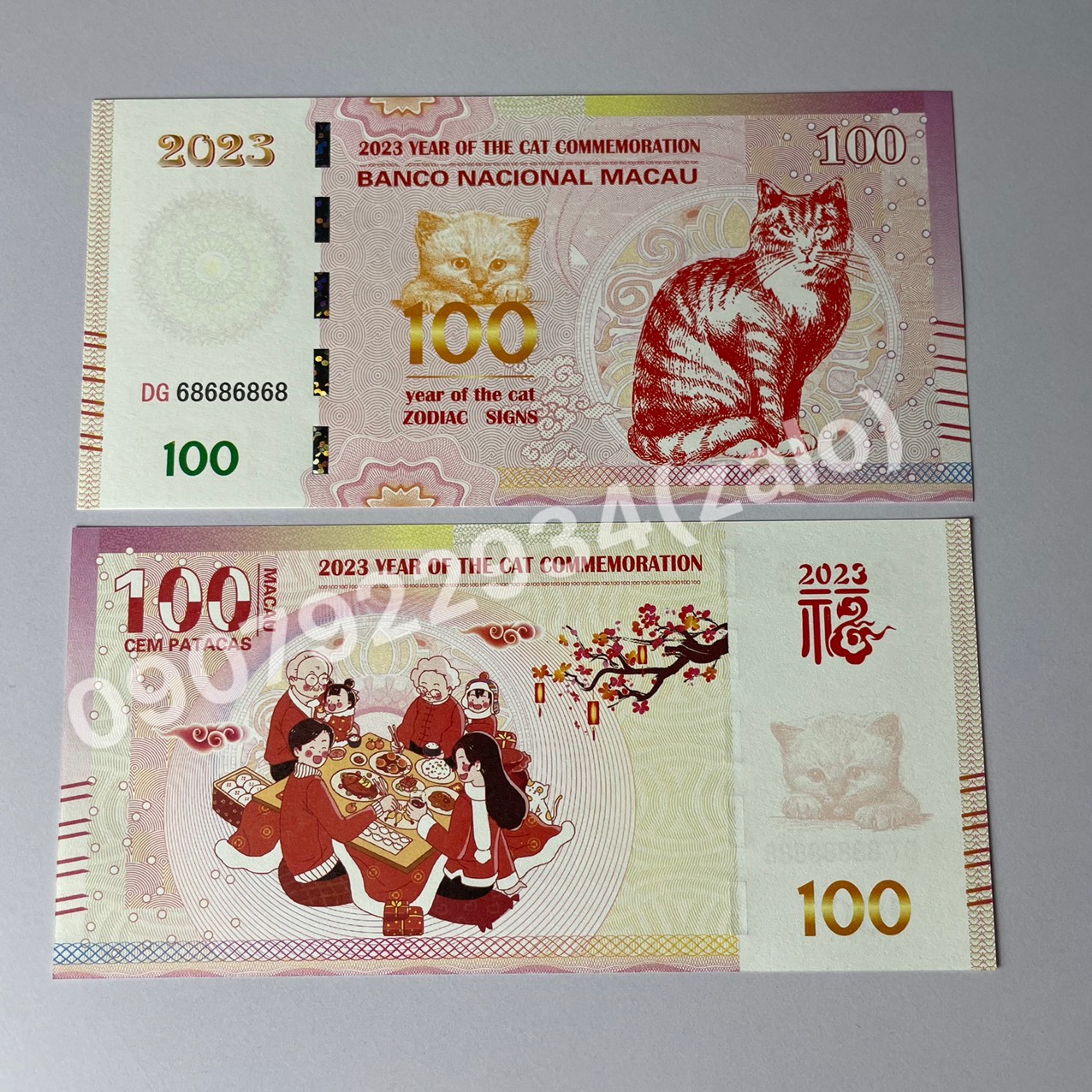 [Mẫu Tết Đoàn Viên, Seri VIP] Combo Mèo Macao lì xì tết Quý Mão 2023