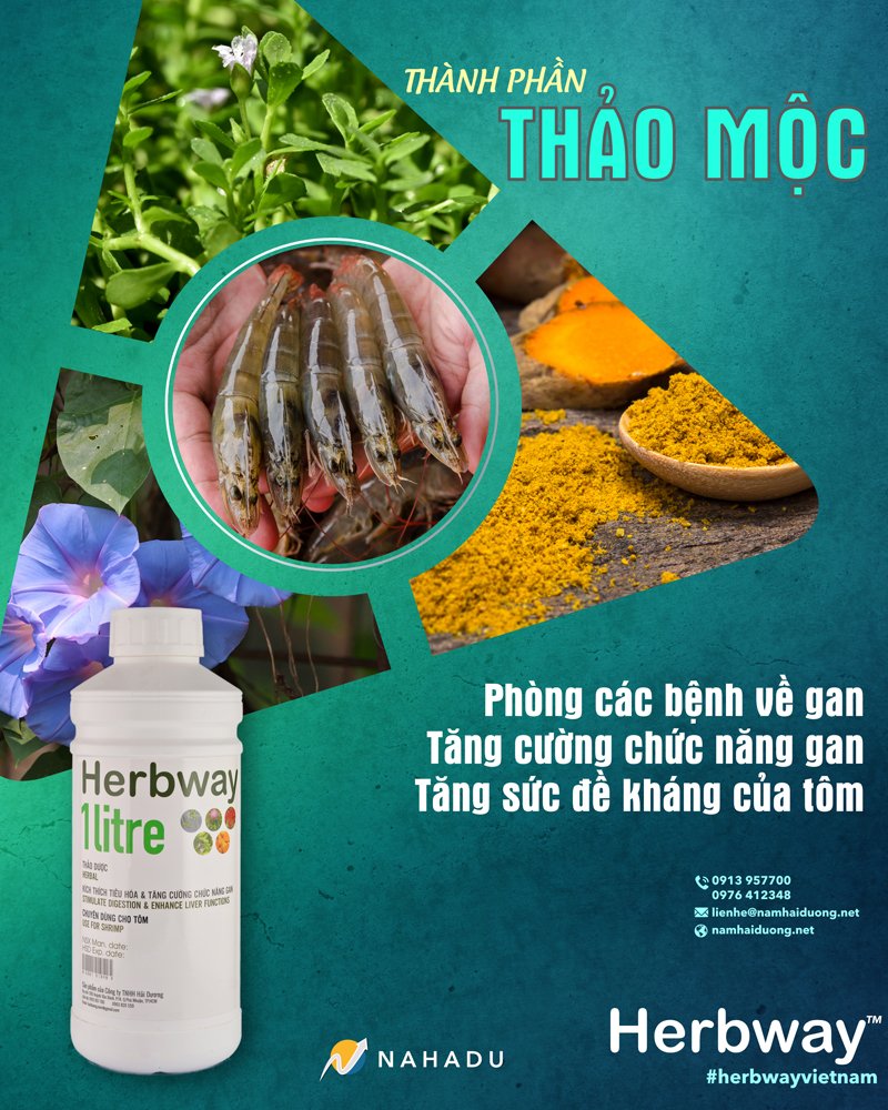 DUNG DỊCH BỔ GAN CHO TÔM CÁ HERBWAY - 2 CHAI 1L