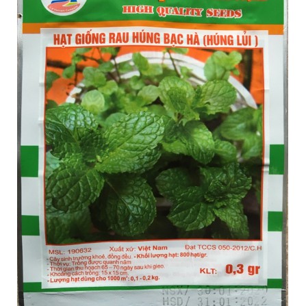 Hạt Giống Húng Lủi (bạc hà ta)