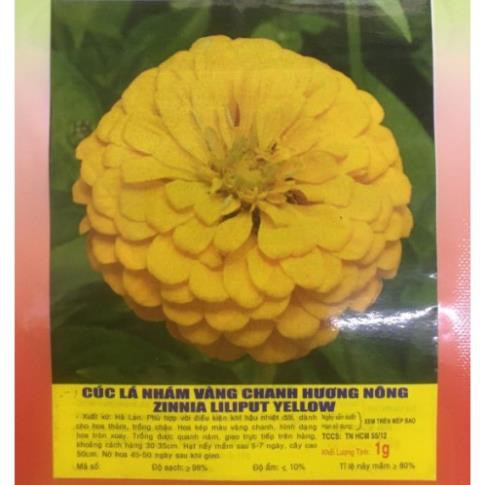 HẠT HOA CÚC LÁ NHÁM VÀNG CHANH - GÓI 1 GRAM