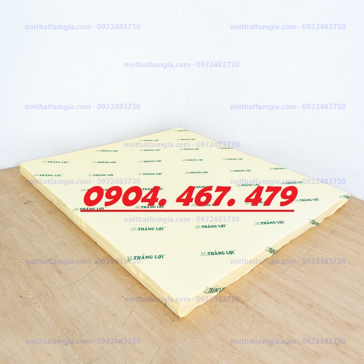 NỆM CAO SU NON THẮNG LỢI 10PHAN - NHIỀU KÍCH THƯỚC