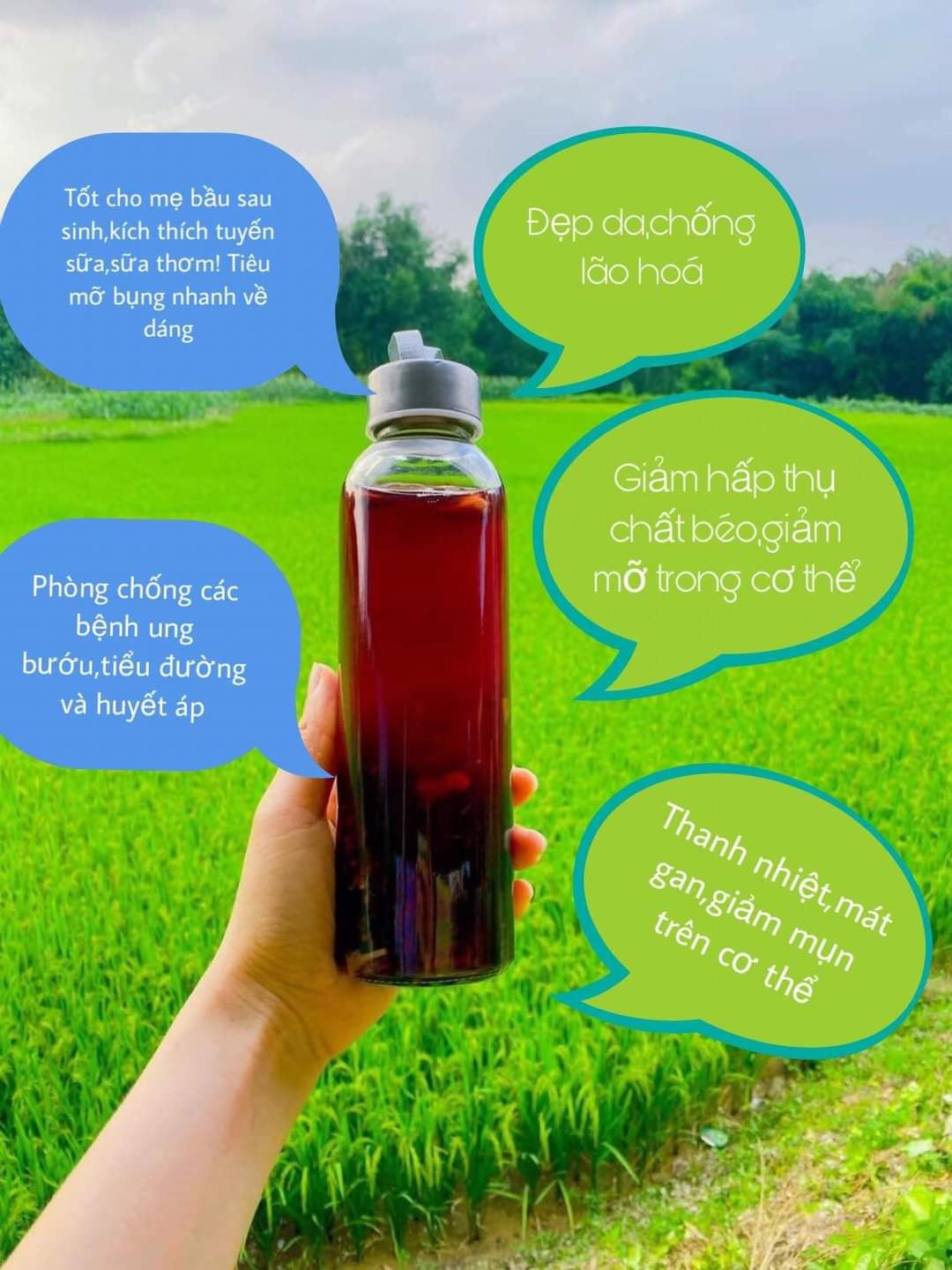 Trà hoa gạo lứt rẫy
