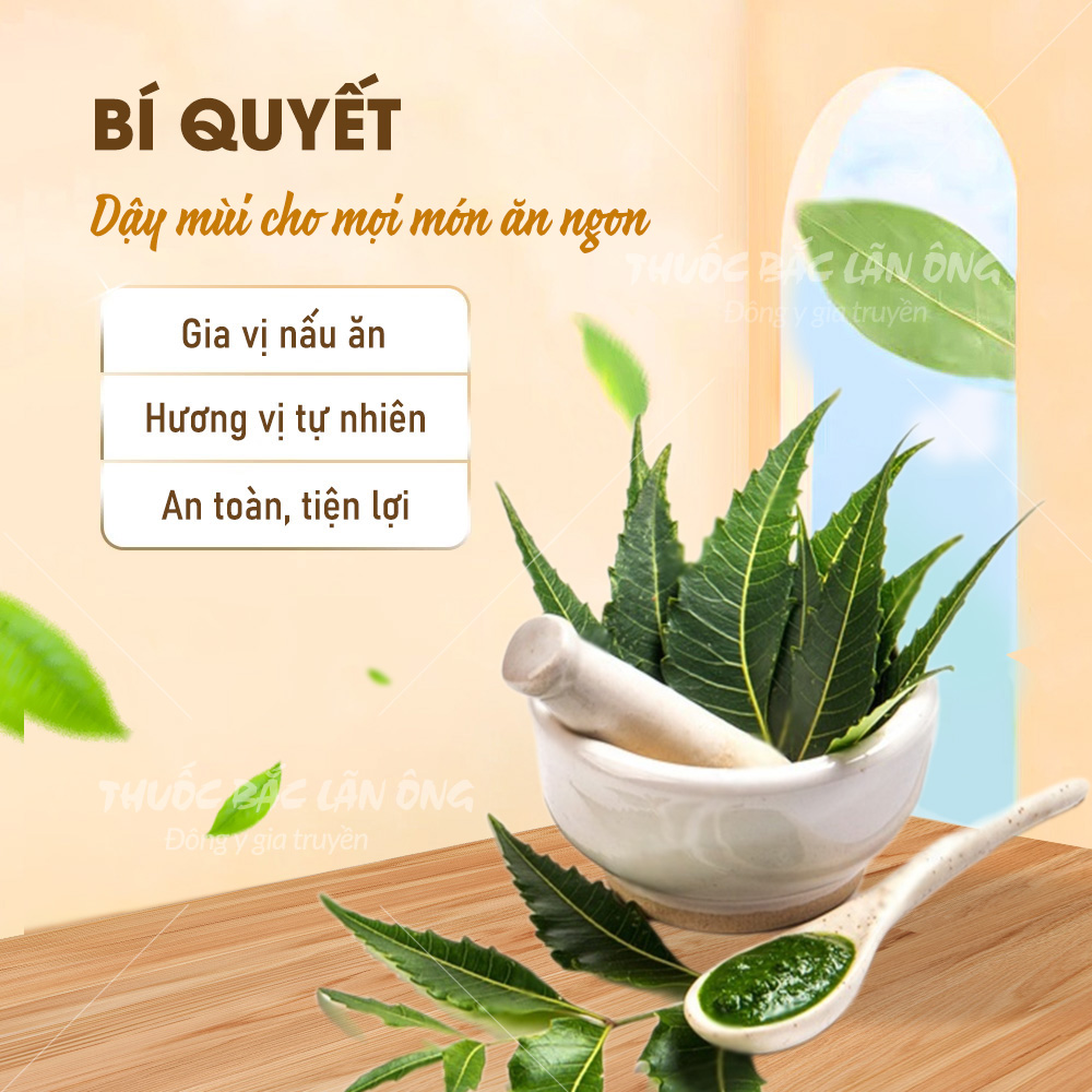 Bột lá neem Ẩn Độ 100g, bột lá vông nem, nguyên chất, thơm mịn, dùng đắp mặt dưỡng da - Lãn Ông