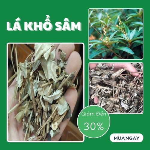 Lá khổ sâm sấy khô 500g - Hàng công ty chất lượng cao - chuyên dùng để pha trà hỗ trợ cải thiện sức khỏe tim mạch - Thảo Dược Tấn Phát