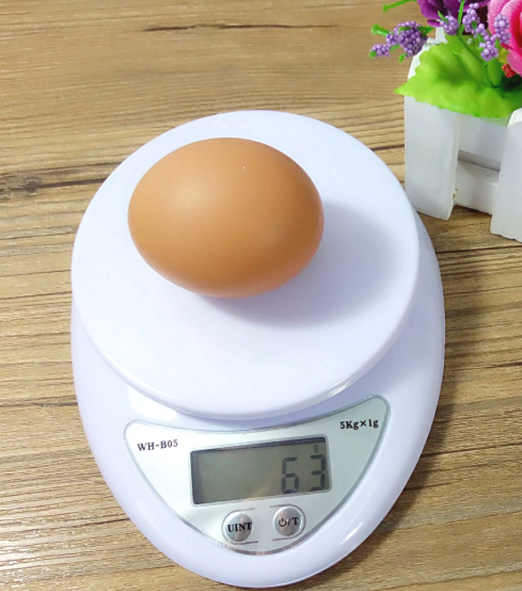 Cân tiểu li điện tử trọng lượng 5kg