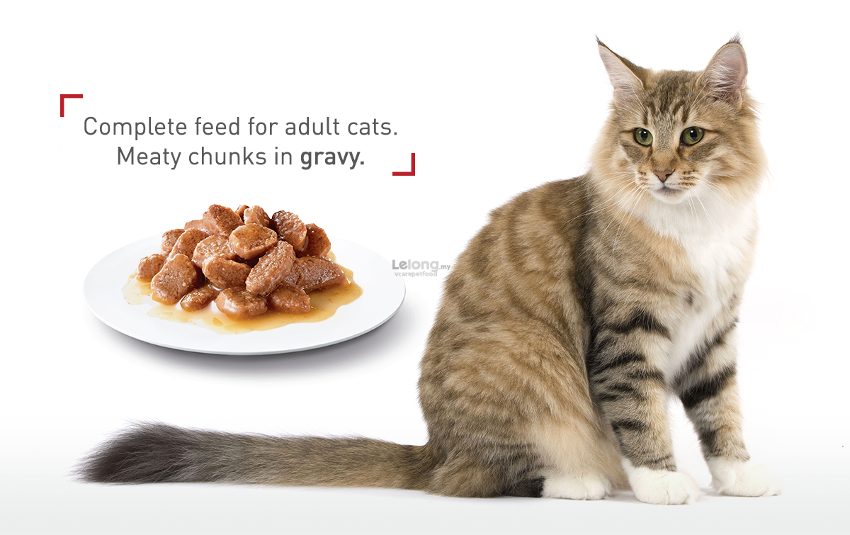 Pate ROYAL CANIN INSTINCTIVE cho mèo lớn (Gravy/Jelly/Loaf) 85gr - [Nông Trại Thú Cưng]