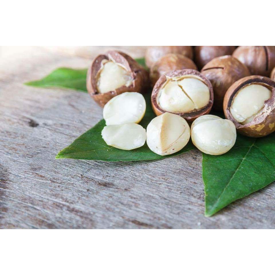 Hạt Mắc Ca Nứt Vỏ Hộp 500Gram - Hạt Dinh Dưỡng