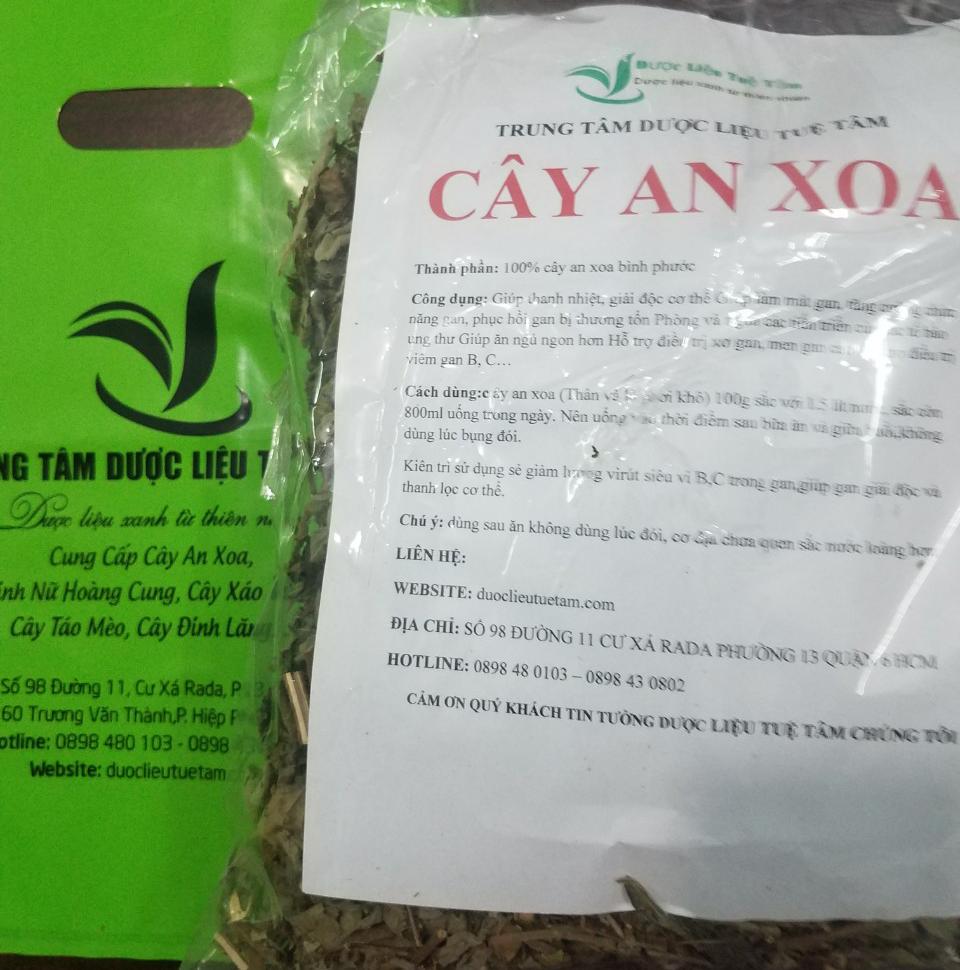 [HCM]Cây an xoa - HOA MÀU TÍM