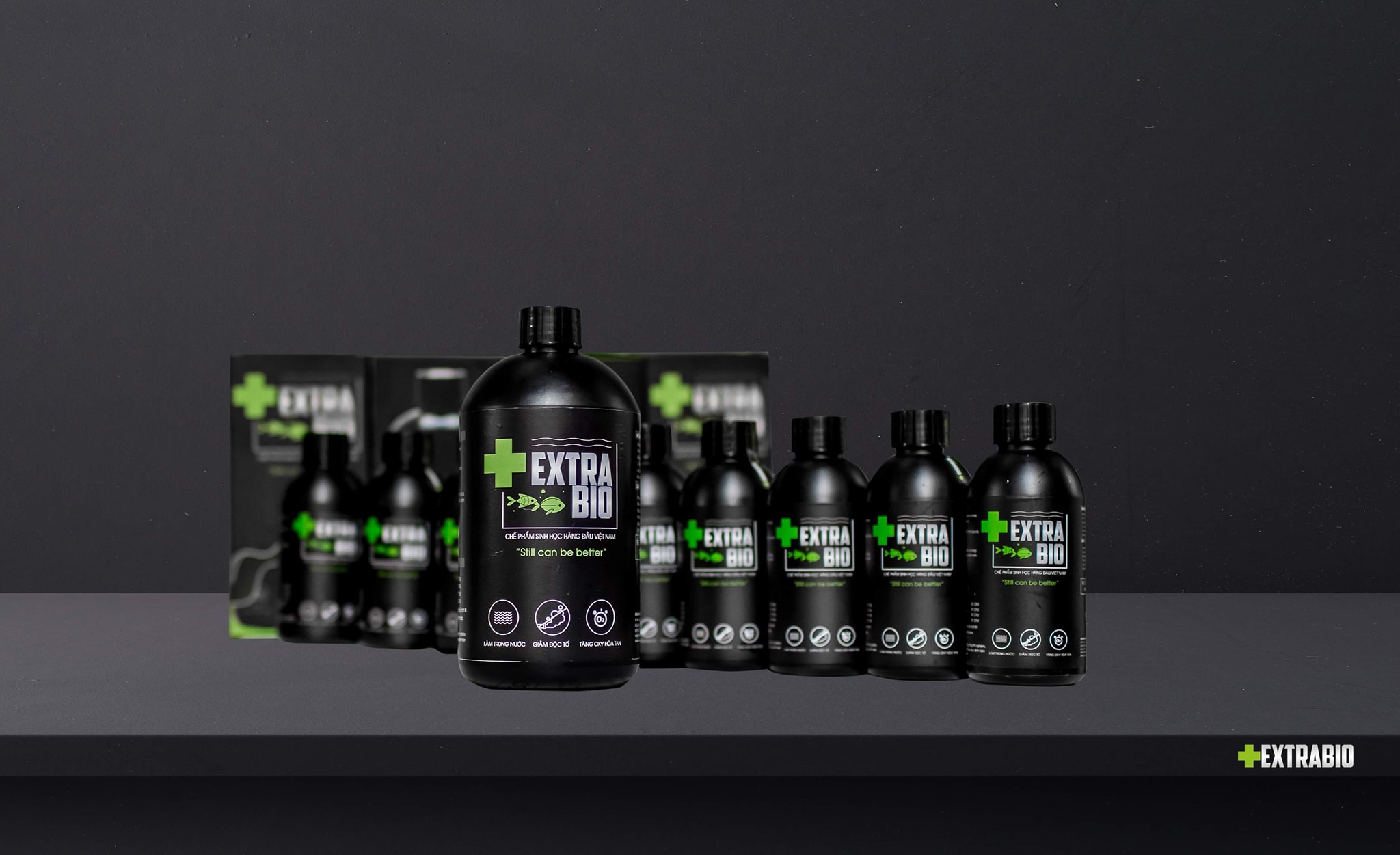 Extra bio làm trong nước , chế phẩm xử lý nước bể cá
