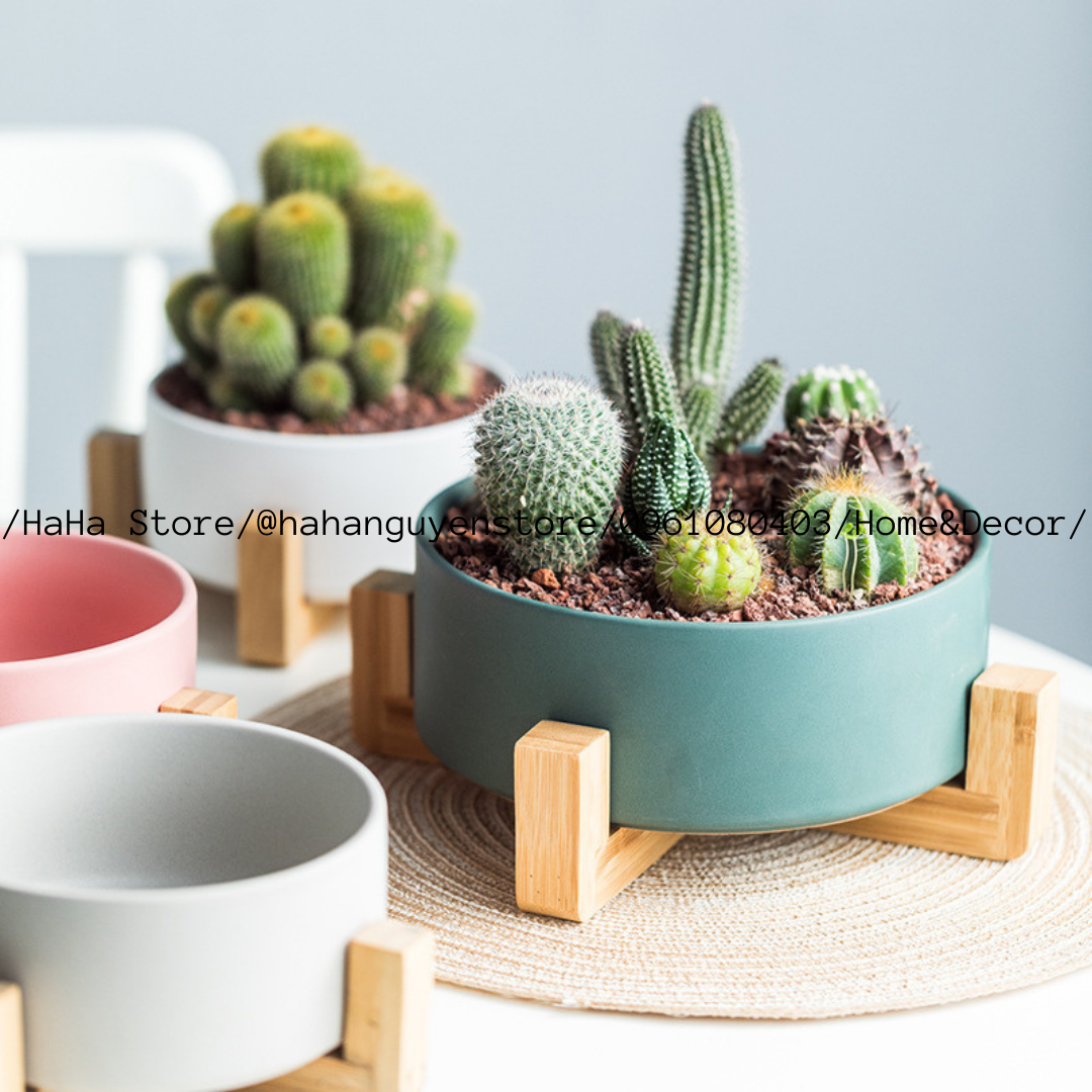 Đôn Gỗ Đặt Chậu Cây ĐỂ BÀN Decor Chậu Cây CCG05-DB