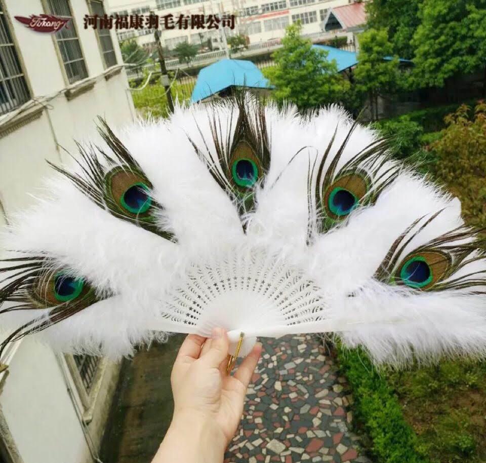 Quạt lông công cao cấp