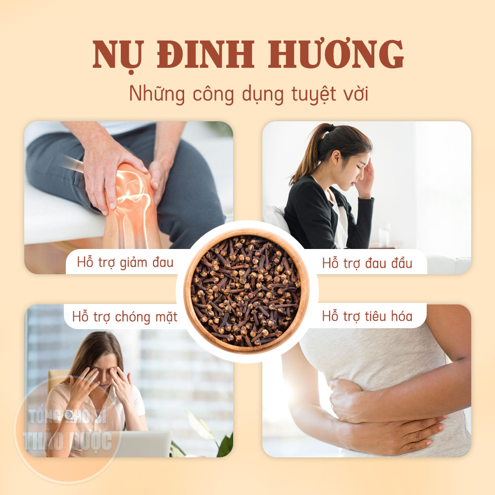 Nụ đinh hương 100g, đinh hương khô, nụ to, thơm, gia vị nấu phở, lẩu, mai quế lộ, xông nhà