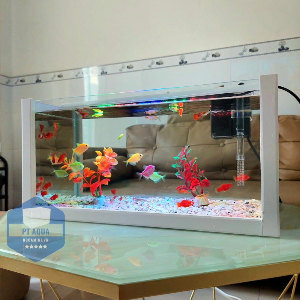 Bể cá mini 40cm COMBO đầy đủ phụ kiện